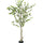 Enkianthus perulatus Kunstpflanze M 180cm - Finestgreen