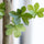 Enkianthus perulatus Kunstpflanze M 180cm - Finestgreen