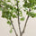 Ginko Biloba Baum Kunstpflanze L 180cm - Finestgreen