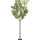Ginko Biloba Baum Kunstpflanze XL 270cm - Finestgreen