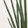 Sansevieria Cylindrica Kunstpflanze M 120cm - Finestgreen