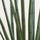 Sansevieria Cylindrica Kunstpflanze M 120cm - Finestgreen