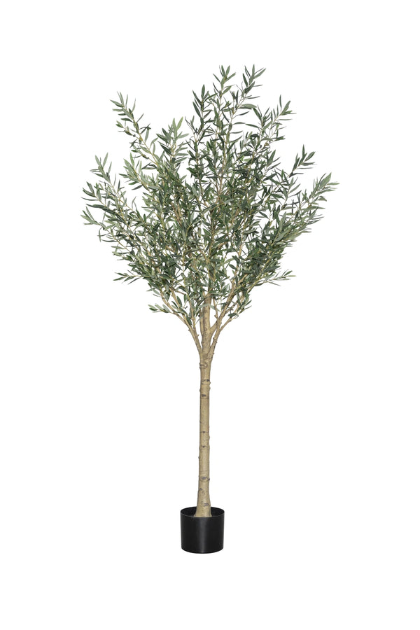 Olivenbaum auf Stamm künstlich, H: 240cm