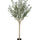 Olivenbaum Kunstpflanze XL 240cm - Finestgreen