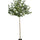 Ficus Triangularis Baum Kunstpflanze XL 240cm - Finestgreen