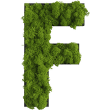Islandmoos Piktogramm Buchstabe