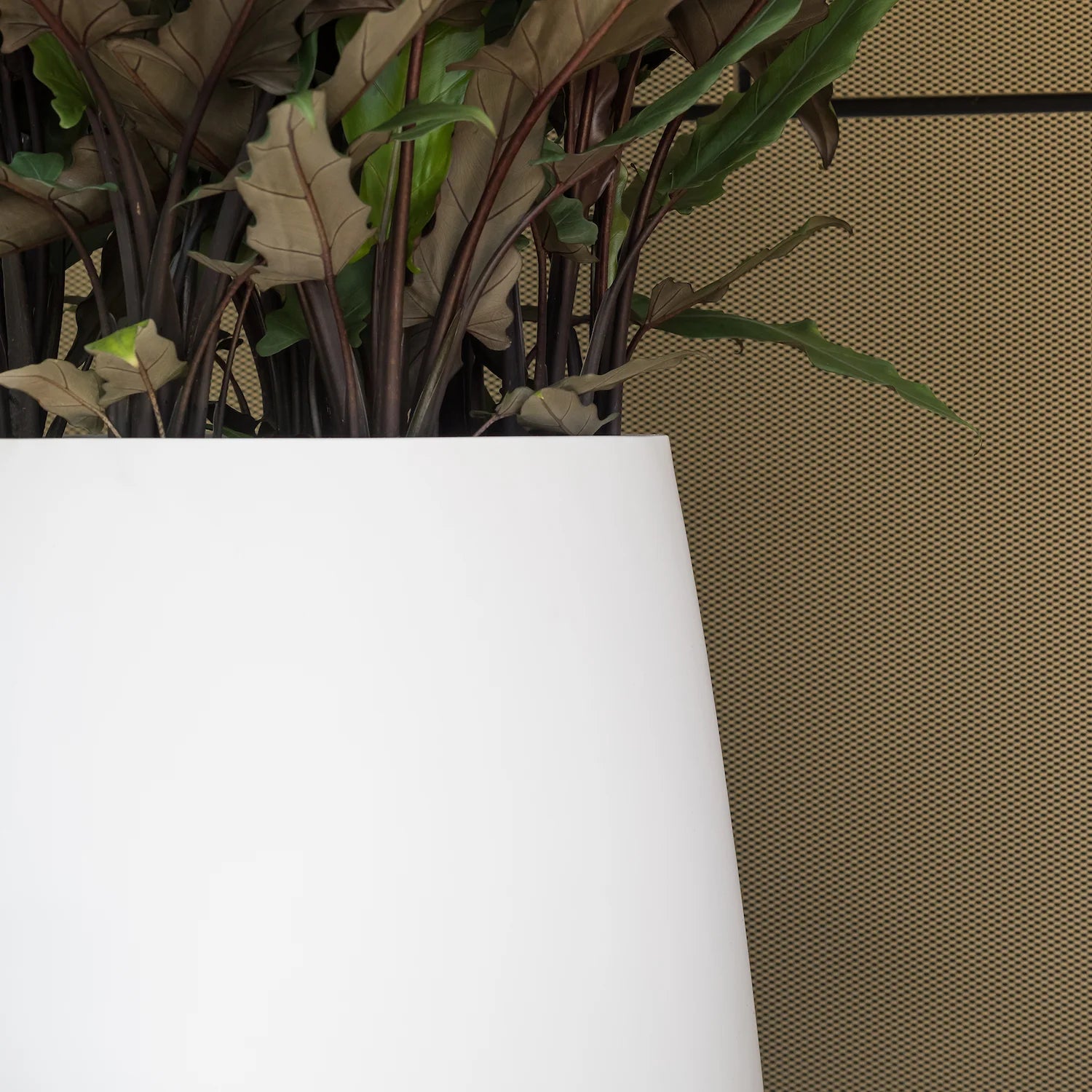 Nahaufnahme Fiberstone Pflanztopf Matt Weiß