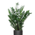 Glücksfeder - Zamioculcas Ø:27 H:100 cm