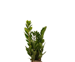 Konfigurator