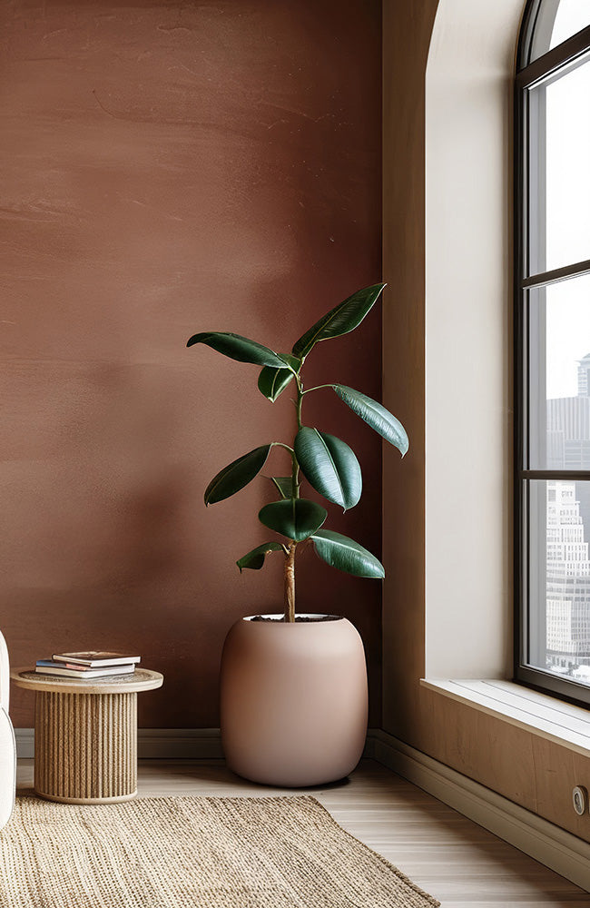 Blumentopf Sphere Puderrosa aus Fiberglas mit Gummibaum im Wohnraum vor Terrakotta-Wand am großen Fenster