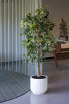 Ficus Baum Künstlich H: 120cm