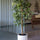 Ficus Baum Künstlich H: 120cm - Finestgreen