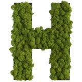 Islandmoos Piktogramm Buchstabe