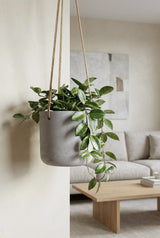 Hanging Charlie Grau by Pottery Pots showcasing a stylish gray plant hanger with a modern design and lush greenery. || Robustes Topfmaterial | inkl. Metallring & Kordel