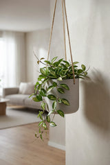 Small Hanging Charlie in Grau by Pottery Pots, showcasing a modern design with a plant suspended elegantly. || Abgebildete Größe: S