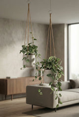 Hanging Charlie Set Grau Finestgreen 