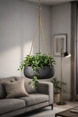 Hanging Eileen Schwarz