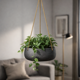 Hanging Eileen Schwarz