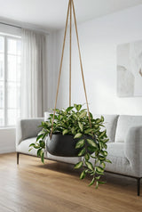 Hanging Eileen Schwarz