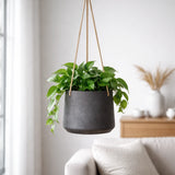 Hanging Patt Schwarz Finestgreen 