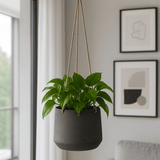 Hanging Patt Schwarz