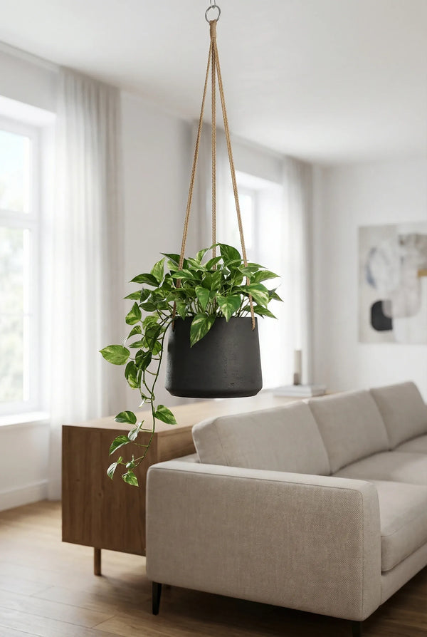 Blumenampel Patt Schwarz aus glasfaserverstärktem Ton
