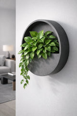 Hanging Wally Grau Finestgreen 