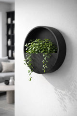 Hanging Wally Schwarz