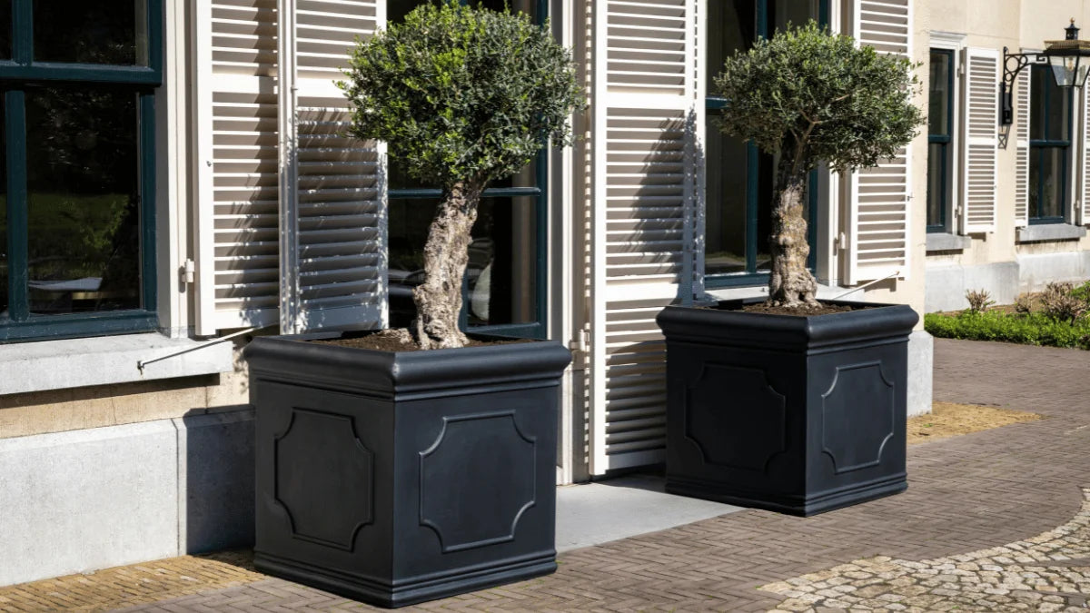 Heritage – Serie