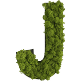 Islandmoos Piktogramm Buchstabe