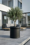 Jumbo Max Classic Schwarz
