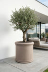 Jumbo Max Classic Taupe