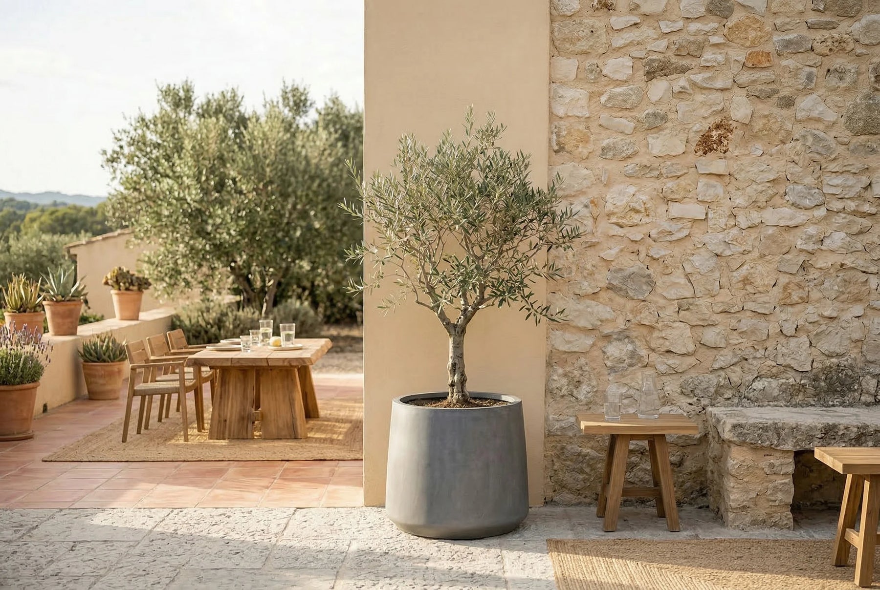 Entdecke unsere Angebote