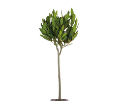 Konfigurator