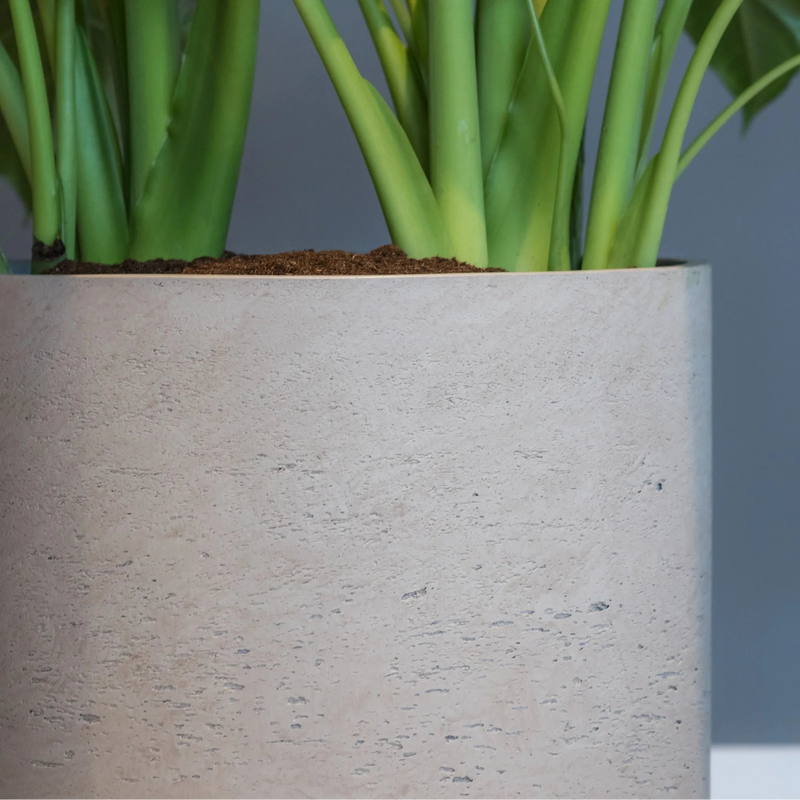 Fibreclay Pflanzgefäße