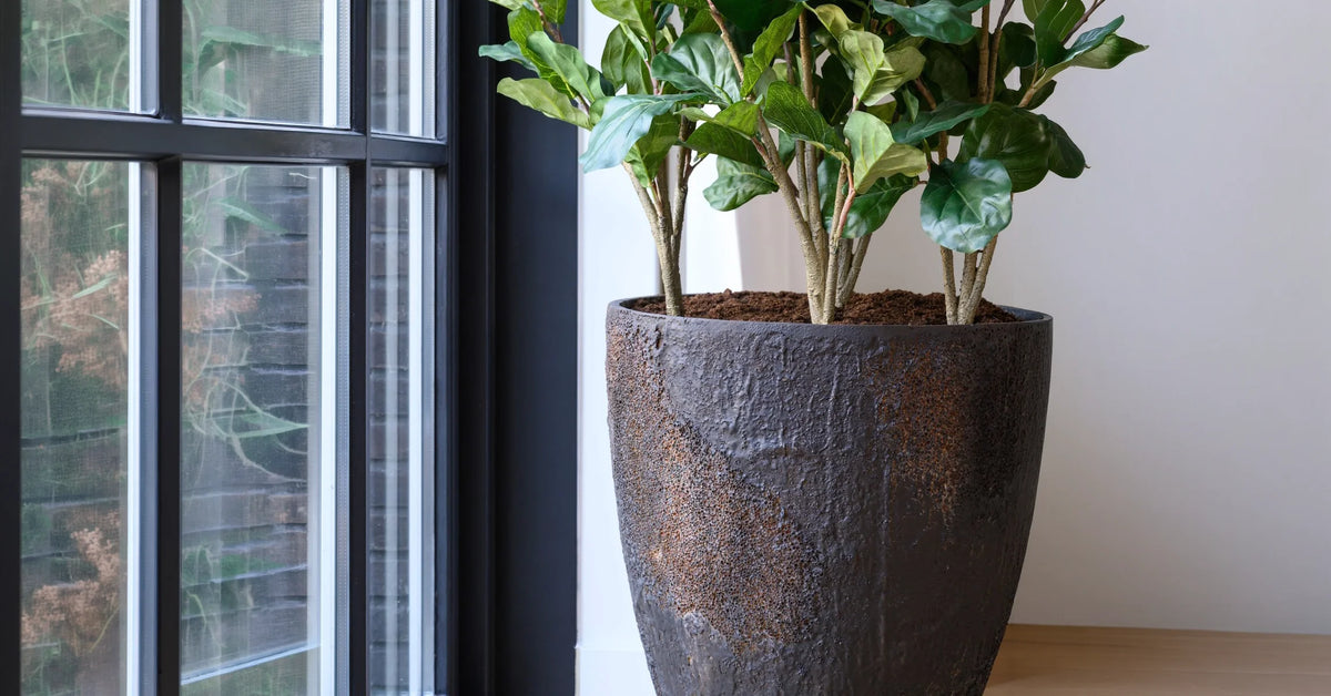 Ficonstone Pflanztopf Oyster Braun