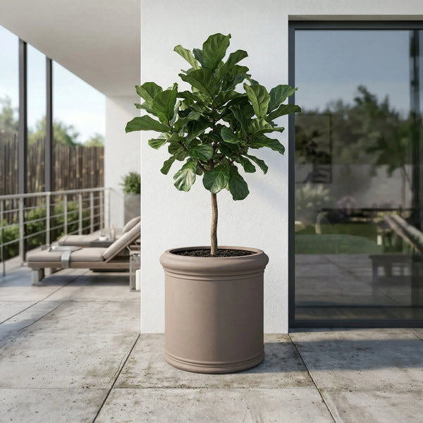 Heritage Pflanzkübel