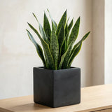 Mini Block Fiberstone Schwarz Finestgreen 