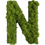 Islandmoos Piktogramm Buchstabe