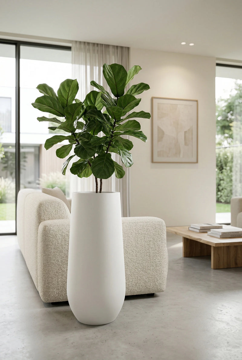 Pflanzkübel Nax Matt Weiß, hohe Bodenvase mit kleinem Baum im hellen Wohnzimmer hinter Sofa