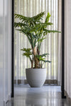 Philodendron Künstlich H: 160cm