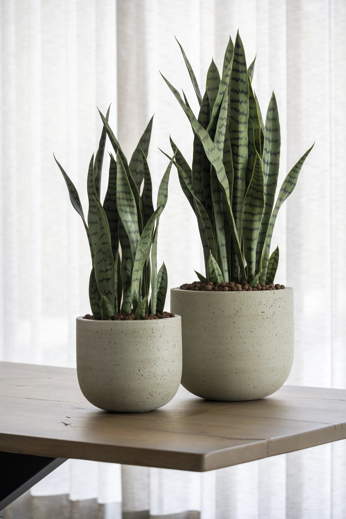 Sansevieria Künstlich - Künstliche Pflanzen