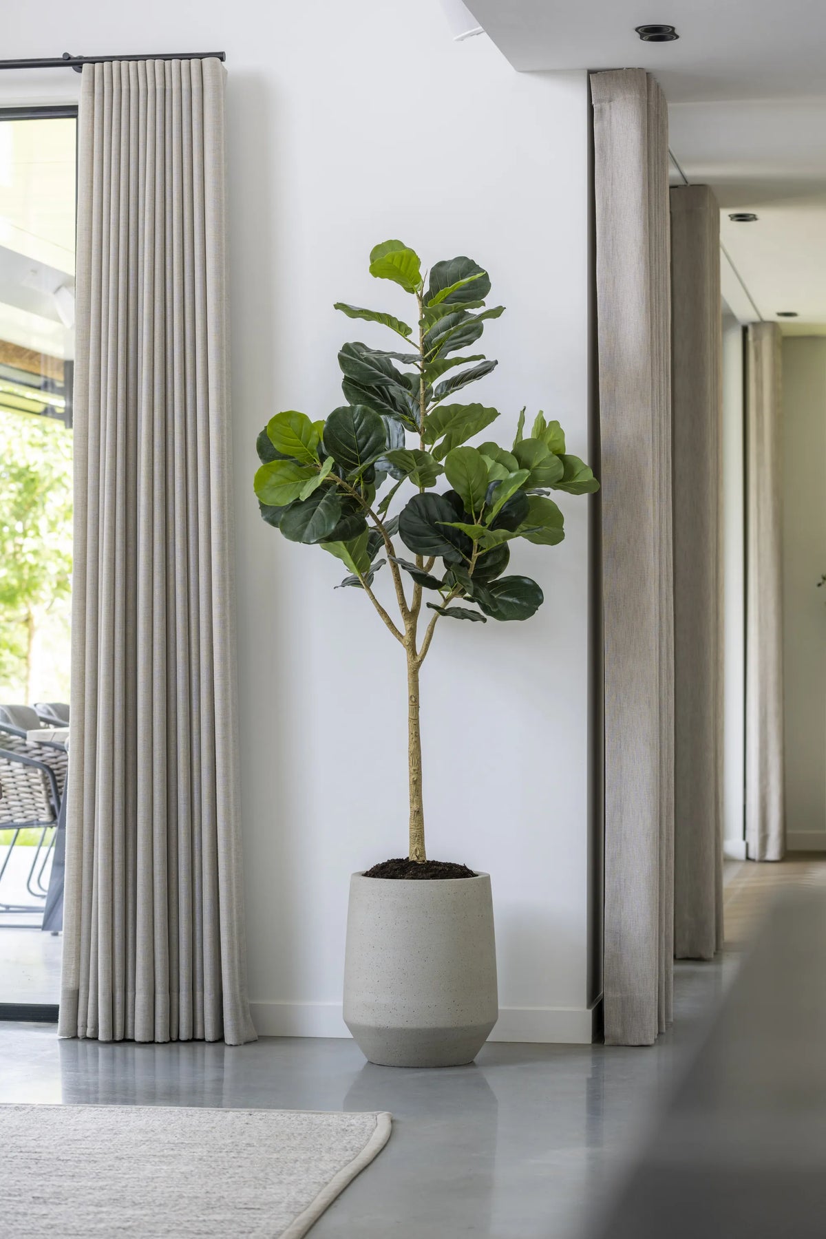 Ficus Lyrata Geigenfeige Künstlich - Künstliche Pflanzen