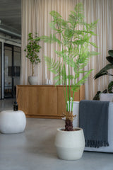 Farne Künstlich H: 180cm - Finestgreen