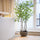 Enkianthus perulatus Kunstpflanze M 180cm - Finestgreen