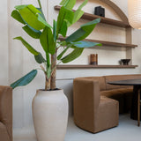 Bananenbaum Künstlich H: 205cm - Finestgreen