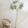Queensland bottle Baum Kunstpflanze L 200cm - Finestgreen