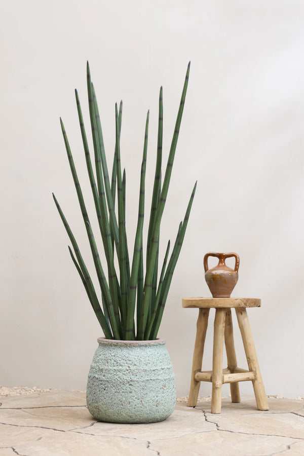 Sansevieria Cylindrica künstlich, H: 180cm