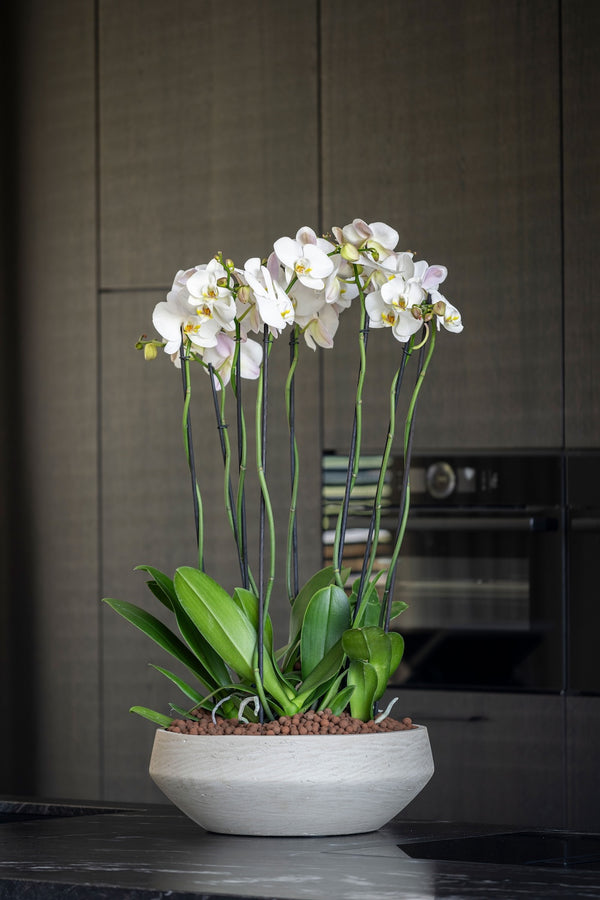 Vase Madu Grau, wasserdicht aus glasfaserverstärktem Ton