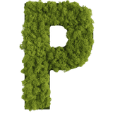 Islandmoos Piktogramm Buchstabe